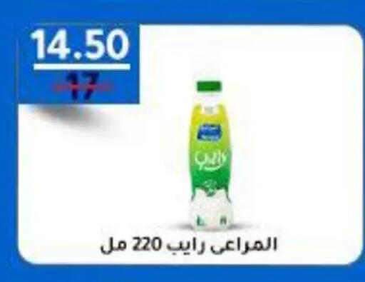 available at وكالة المنصورة - الدقهلية‎ in Egypt - القاهرة