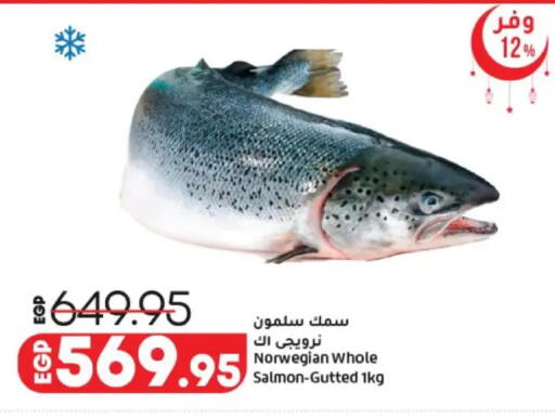 available at لولو هايبرماركت in Egypt - القاهرة