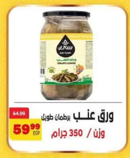 available at داون تاون العرب  in Egypt - القاهرة