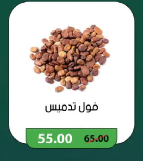 available at رويال هاوس in Egypt - القاهرة