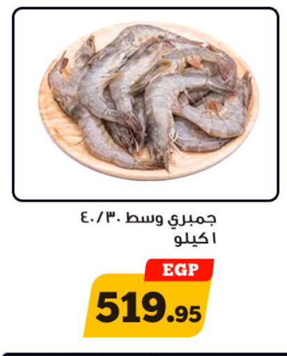 available at أولاد رجب in Egypt - القاهرة