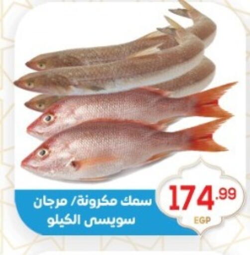 available at أولاد المحاوى in Egypt - القاهرة