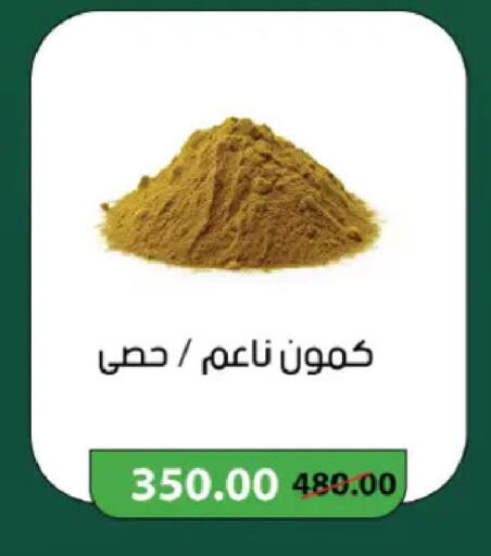 available at رويال هاوس in Egypt - القاهرة