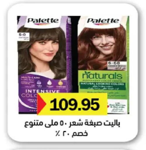 available at رويال هاوس in Egypt - القاهرة