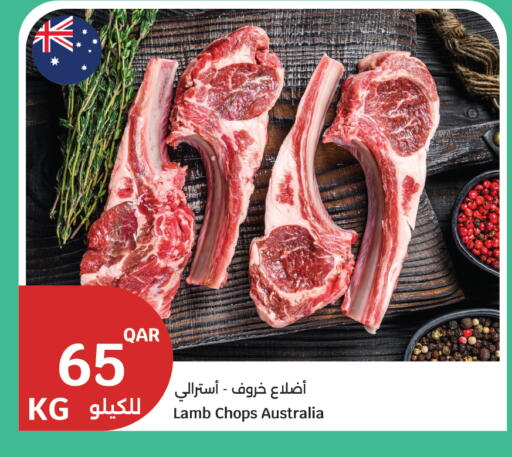 available at سيتي هايبرماركت in قطر - أم صلال