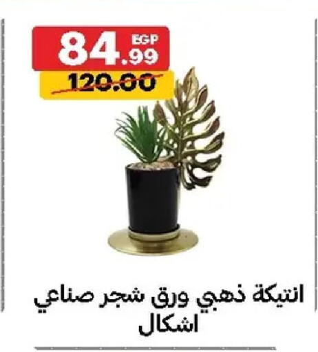 available at الحبيب ماركت in Egypt - القاهرة