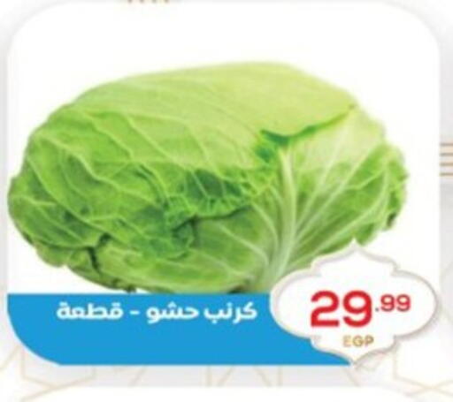 available at El mhallawy Sons in Egypt - Cairo