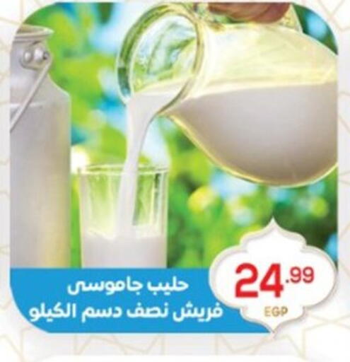 available at El mhallawy Sons in Egypt - Cairo