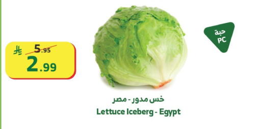 Lettuce from Egypt available at Al Raya in KSA, Saudi Arabia, Saudi - Khamis Mushait