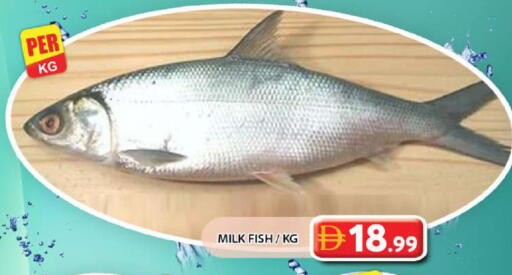 available at جراند هايبر ماركت in الإمارات العربية المتحدة , الامارات - دبي