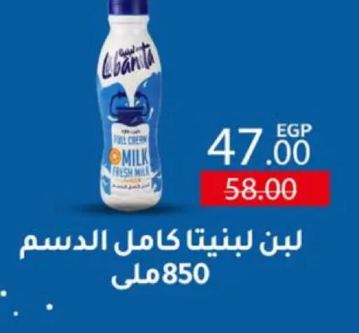 available at Wekalet Elmansoura - Dakahlia  in Egypt - Cairo