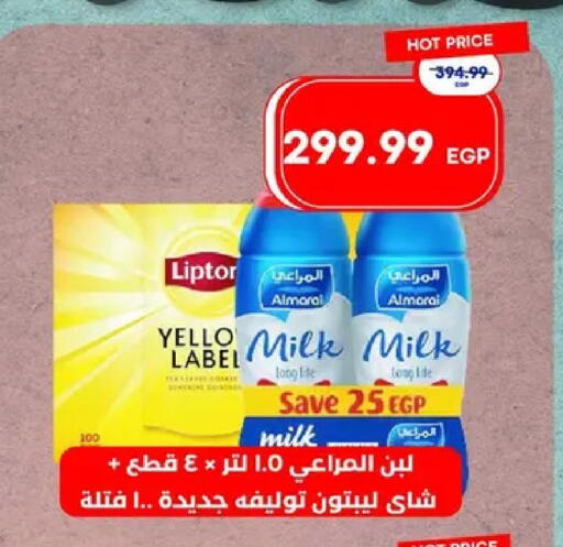 available at Metro Market  in Egypt - Cairo