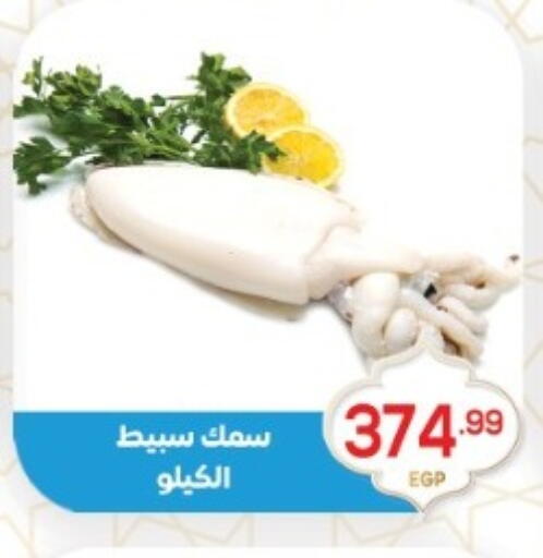 available at أولاد المحاوى in Egypt - القاهرة