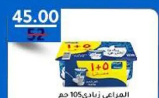 available at وكالة المنصورة - الدقهلية‎ in Egypt - القاهرة