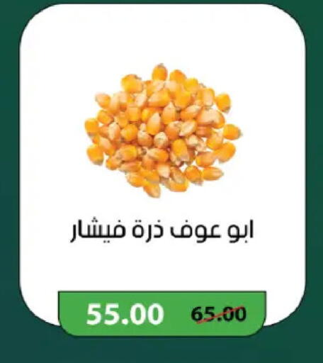 available at رويال هاوس in Egypt - القاهرة