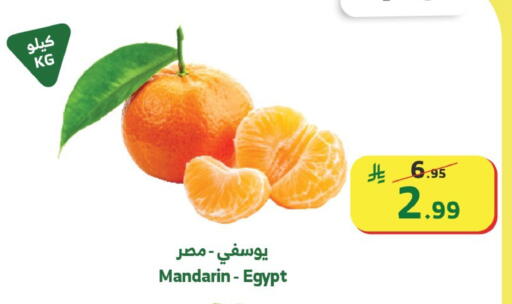 Mandarin from Egypt available at Al Raya in KSA, Saudi Arabia, Saudi - Abha