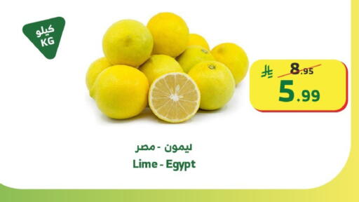 from Egypt available at Al Raya in KSA, Saudi Arabia, Saudi - Abha