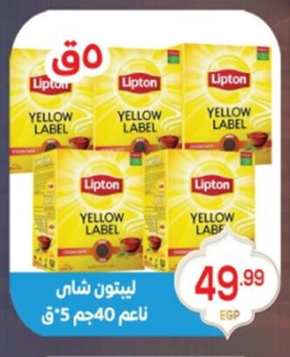 available at أولاد المحاوى in Egypt - القاهرة