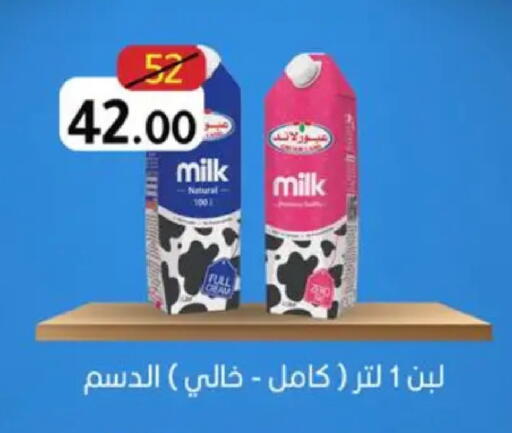 available at Wekalet Elmansoura - Dakahlia  in Egypt - Cairo