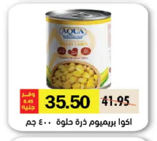 available at Royal House in Egypt - Cairo