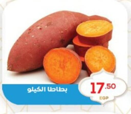 available at El mhallawy Sons in Egypt - Cairo