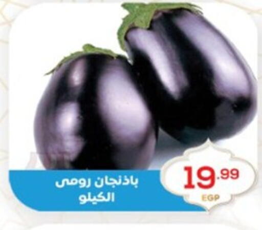 available at El mhallawy Sons in Egypt - Cairo