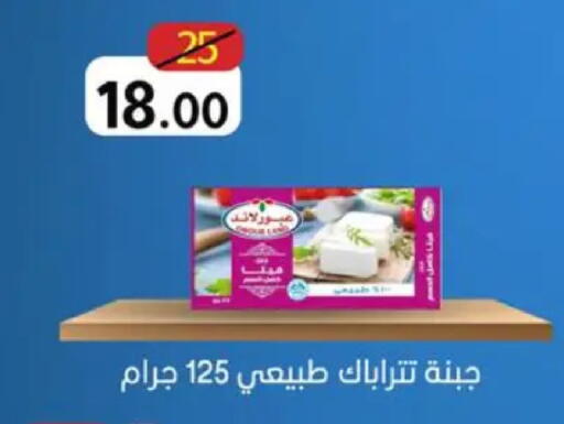 available at وكالة المنصورة - الدقهلية‎ in Egypt - القاهرة