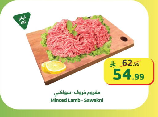 available at الراية in مملكة العربية السعودية, السعودية, سعودية - مكة المكرمة