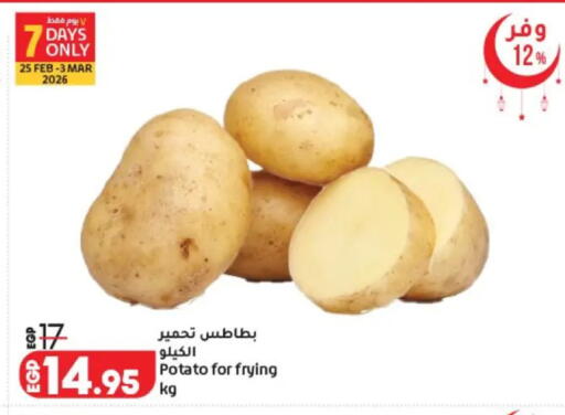 Potato available at Lulu Hypermarket  in Egypt - Cairo