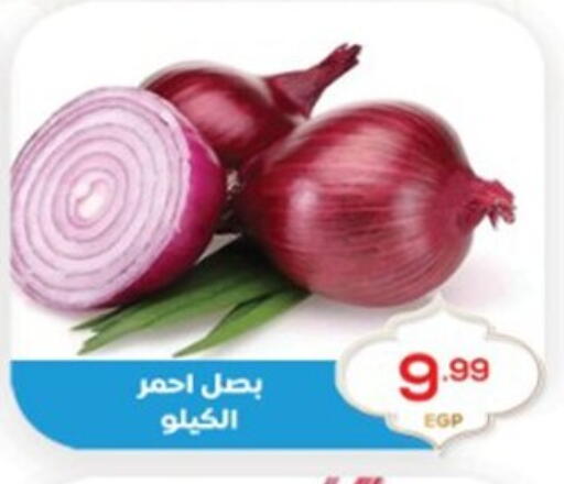 available at El mhallawy Sons in Egypt - Cairo