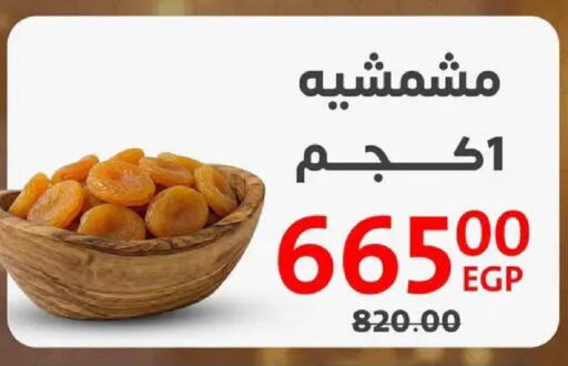 available at داون تاون العرب  in Egypt - القاهرة