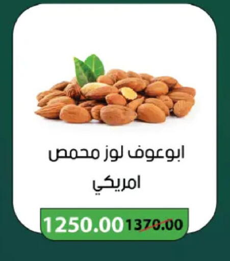 available at رويال هاوس in Egypt - القاهرة