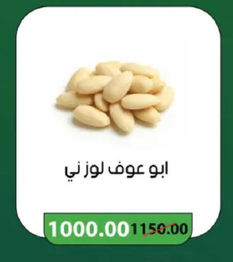 available at رويال هاوس in Egypt - القاهرة