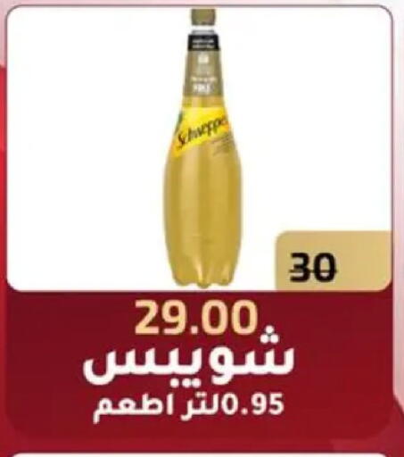 available at وكالة المنصورة - الدقهلية‎ in Egypt - القاهرة