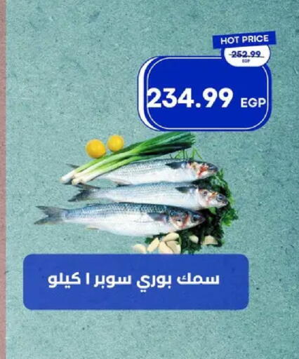 available at مترو ماركت in Egypt - القاهرة