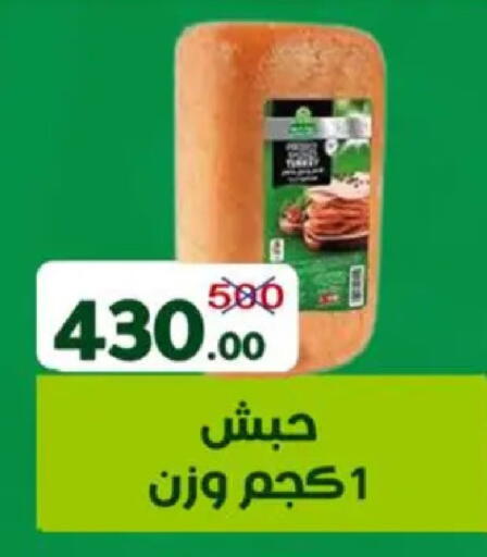 available at Wekalet Elmansoura - Dakahlia  in Egypt - Cairo