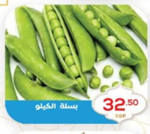 available at El mhallawy Sons in Egypt - Cairo