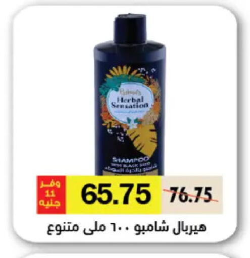 available at رويال هاوس in Egypt - القاهرة
