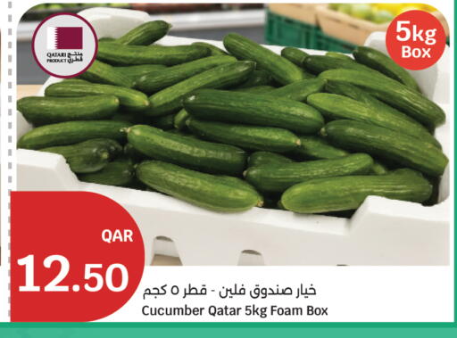 Cucumber from Qatar available at سيتي هايبرماركت in قطر - أم صلال