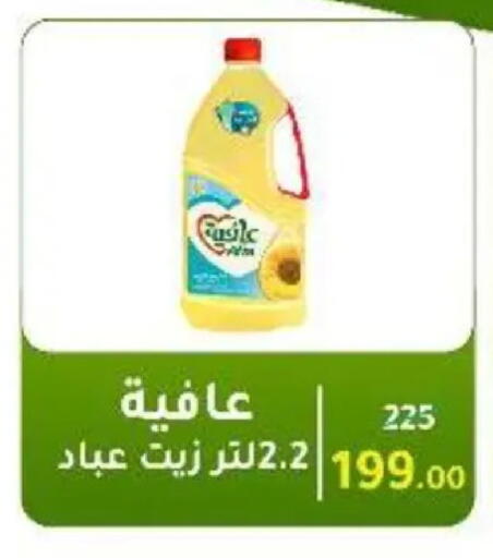 available at وكالة المنصورة - الدقهلية‎ in Egypt - القاهرة