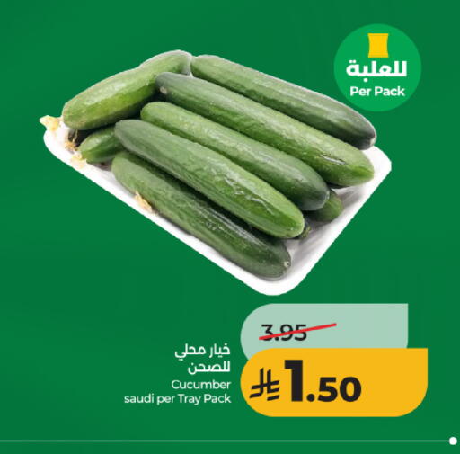Cucumber from Saudi Arabia available at لولو هايبرماركت in مملكة العربية السعودية, السعودية, سعودية - الرياض