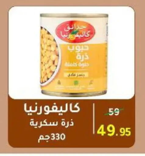 available at وكالة المنصورة - الدقهلية‎ in Egypt - القاهرة