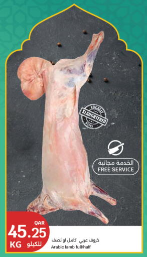 available at سيتي هايبرماركت in قطر - الشحانية