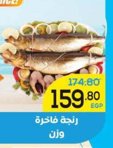 available at الضحى ماركت in Egypt - القاهرة