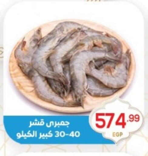 available at أولاد المحاوى in Egypt - القاهرة