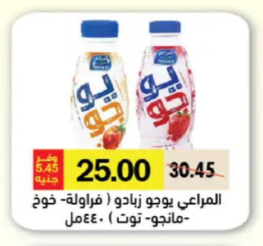 available at رويال هاوس in Egypt - القاهرة