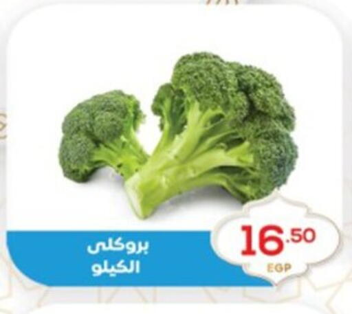 available at El mhallawy Sons in Egypt - Cairo