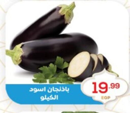 available at El mhallawy Sons in Egypt - Cairo