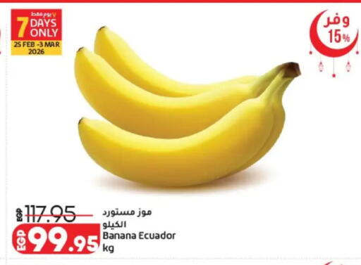 Banana from Ecuador available at Lulu Hypermarket  in Egypt - Cairo
