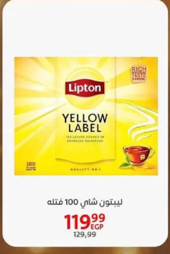 available at داون تاون العرب  in Egypt - القاهرة